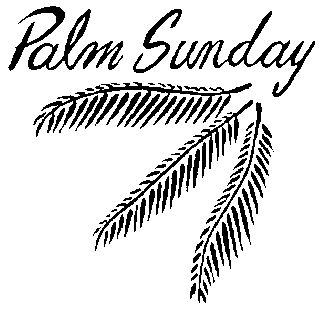 palmsun2